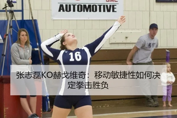 张志磊KO赫戈维奇：移动敏捷性如何决定拳击胜负